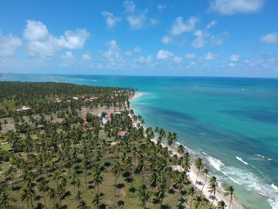 Carneiro Beach Resort 305 Tamandaré Eksteriør billede